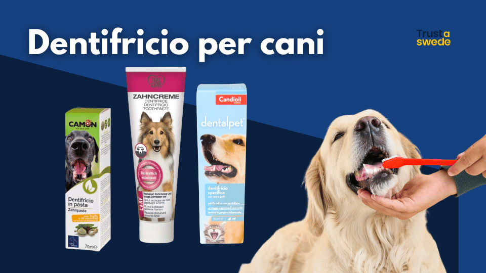 Dentifricio per cani thumbnail